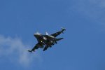 Dcim17984/DSC_1688