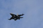 Dcim17984/DSC_1698