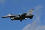 Dcim17985/DSC_1728