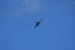 Dcim17985/DSC_1731
