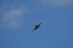 Dcim17985/DSC_1733