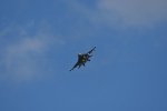 Dcim17985/DSC_1734