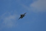 Dcim17985/DSC_1735