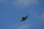 Dcim17985/DSC_1736