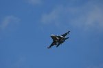 Dcim17985/DSC_1737