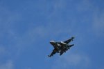 Dcim17985/DSC_1738