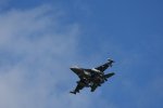 Dcim17985/DSC_1739