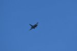 Dcim17985/DSC_1747