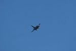 Dcim17985/DSC_1748