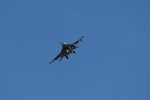 Dcim17985/DSC_1754