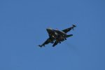 Dcim17985/DSC_1769