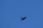 Dcim17985/DSC_1794