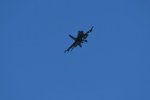 Dcim17985/DSC_1798