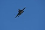 Dcim17985/DSC_1800