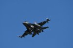 Dcim17985/DSC_1817