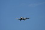 Dcim17986/DSC_1885