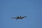 Dcim17986/DSC_1887
