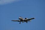 Dcim17986/DSC_1891