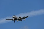 Dcim17986/DSC_1893
