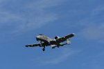 Dcim17986/DSC_1895