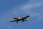 Dcim17986/DSC_1896