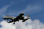 Dcim17986/DSC_1902