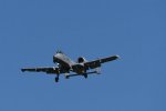 Dcim17986/DSC_1914