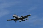 Dcim17986/DSC_1917