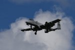 Dcim17986/DSC_1918