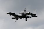 Dcim17986/DSC_1925