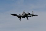 Dcim17986/DSC_1929