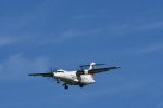 Dcim17986/DSC_1943