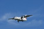 Dcim17986/DSC_1944