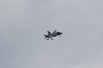 Dcim17986/DSC_1962