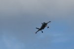Dcim17986/DSC_1968