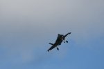 Dcim17987/DSC_1969