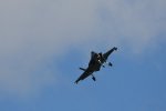 Dcim17987/DSC_1970