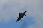 Dcim17987/DSC_1971