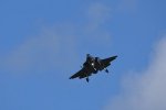 Dcim17987/DSC_1981