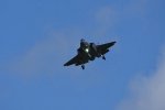 Dcim17987/DSC_1982
