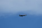 Dcim17987/DSC_1986