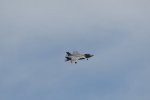 Dcim17987/DSC_1991