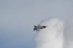 Dcim17987/DSC_1993