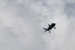 Dcim17987/DSC_2001