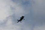 Dcim17987/DSC_2002
