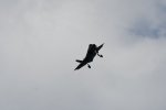 Dcim17987/DSC_2003