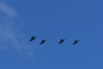 Dcim17987/DSC_2017