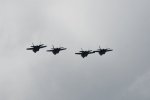 Dcim17987/DSC_2036