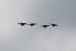 Dcim17987/DSC_2037