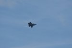 Dcim17987/DSC_2042